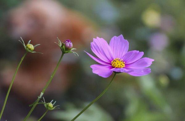 男人出轨说谎最准的表现