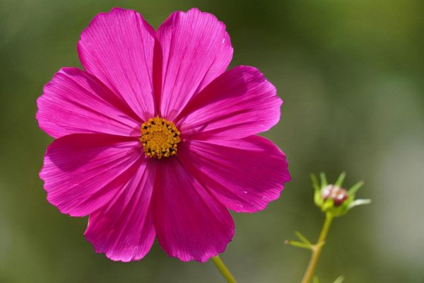 男人出轨说谎最准的表现