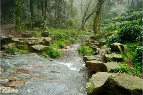 杭州必去的十大景点