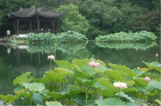 杭州必去的十大景点