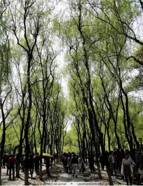 杭州必去的十大景点