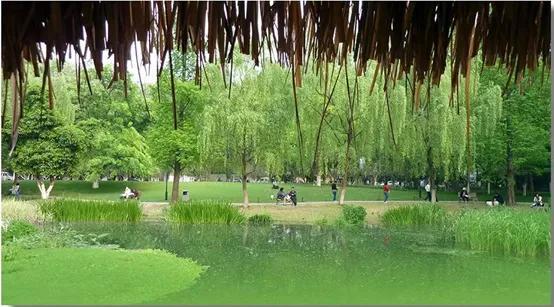 杭州必去的十大景点