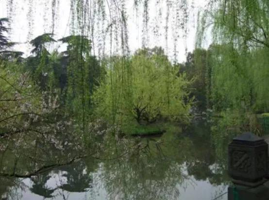 杭州必去的十大景点