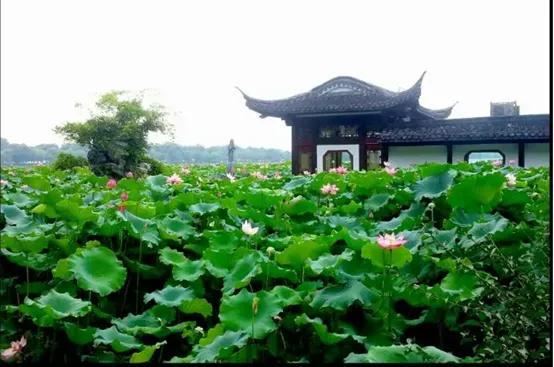 杭州必去的十大景点