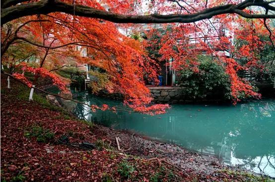 杭州必去的十大景点