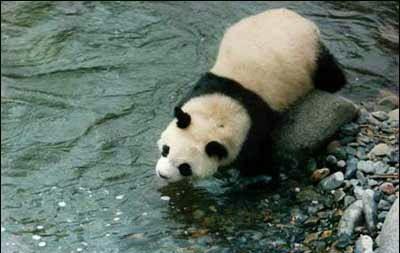 甘肃属于西北地区吗