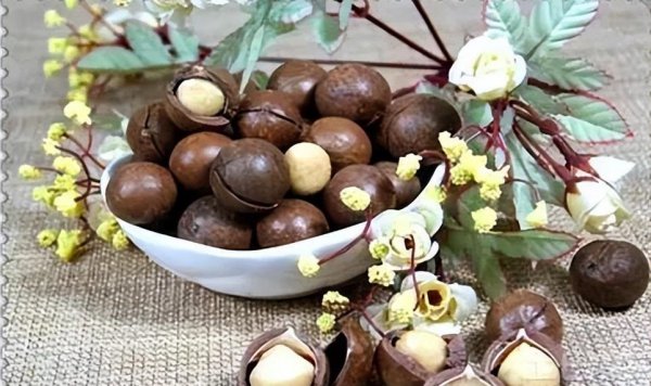 现在农村种什么植物最赚钱又好卖出去