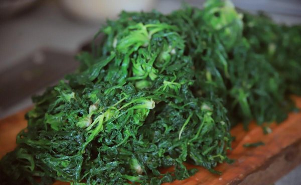 现在农村种什么植物最赚钱又好卖出去