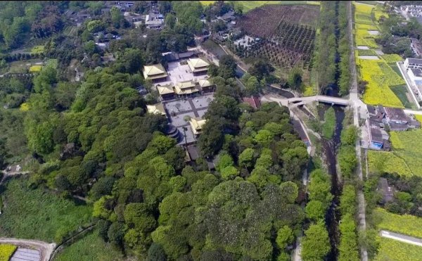 最值钱的树木品种排名