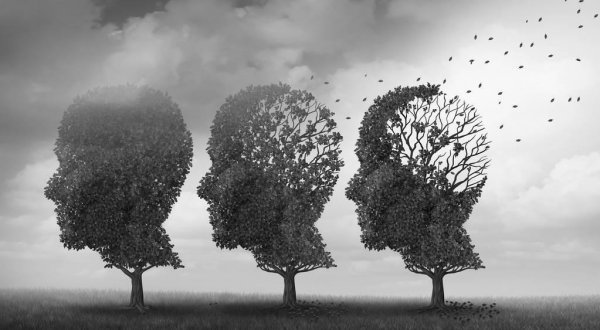 谁照顾老人谁就能继承遗产吗