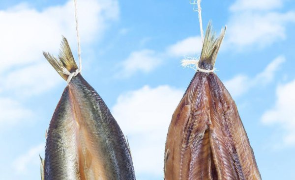 中国四大家鱼是哪四种