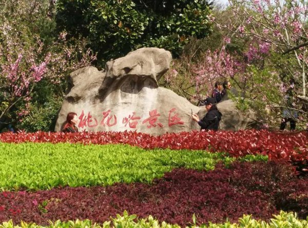 桃花岛风景区在哪里