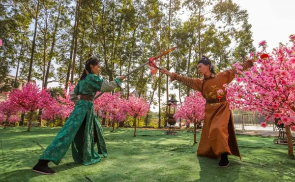 桃花岛风景区在哪里