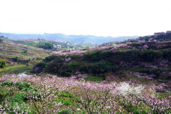 桃花岛风景区在哪里