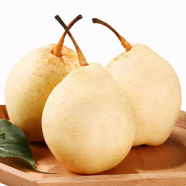 梨有哪些品种图片大全