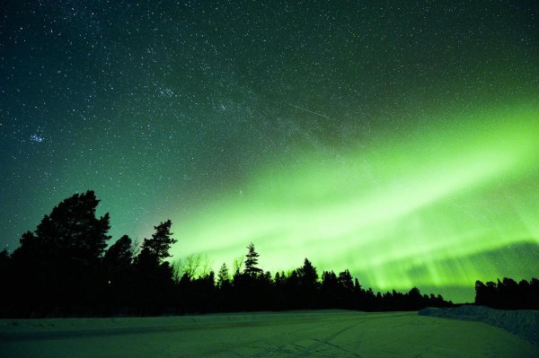 太阳耀斑最早是在哪一年被发现