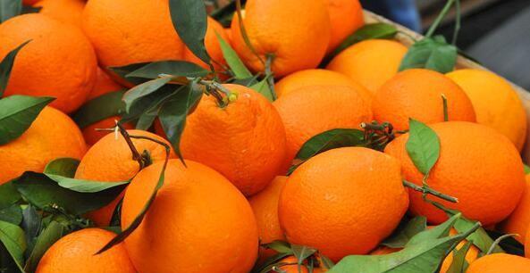 重庆特产十大名单排行榜