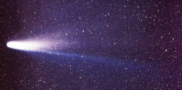 哈雷彗星的周期是多少年