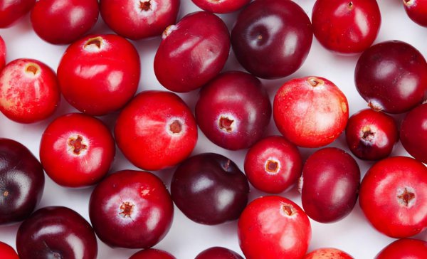 蔓越莓是什么水果图片