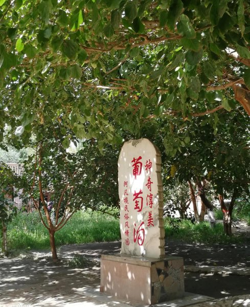 新疆景点排名一览表