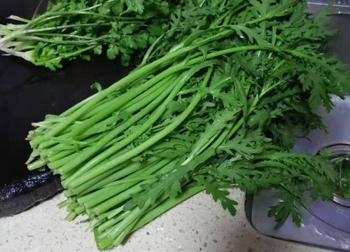 茼蒿一年四季都有吗