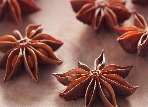 八角种子催芽方法与步骤