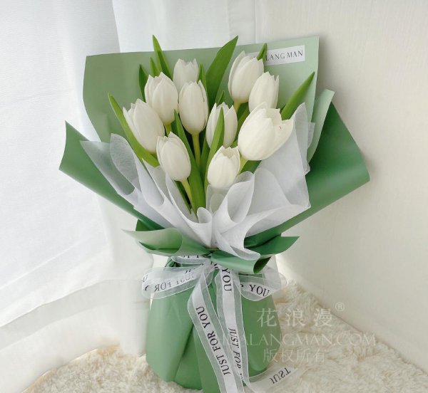 郁金香颜色代表的含义