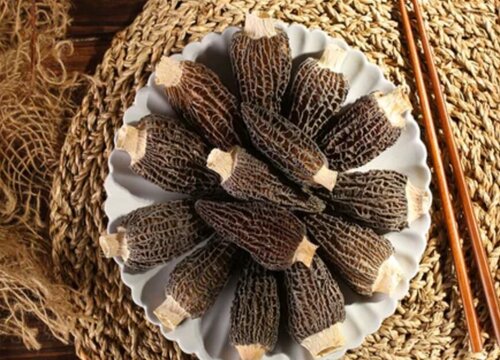 羊肚菌生长在哪里 长在什么地方