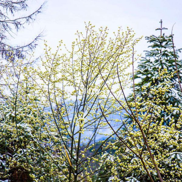 一场疫情让我们珍惜眼前人