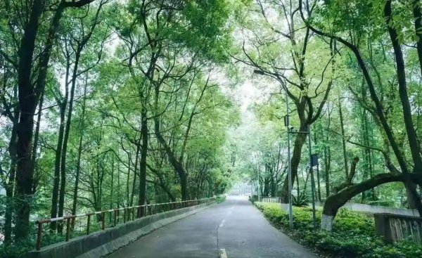 西南交通大学好不好