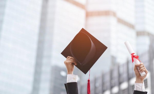 学科门类什么意思