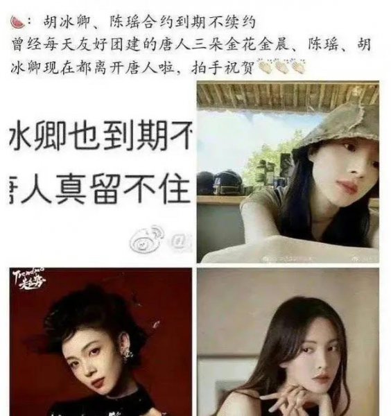 唐人捧陈瑶还是胡冰卿