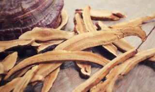 灵芝炖汤要配什么食材好 灵芝煲汤配什么材料好