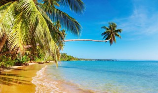 去江苏旅游注意什么饮食 去江苏旅游注意哪些饮食