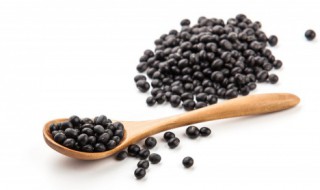 羊肉和黑豆能一起吃吗 羊肉和黑豆是否可以一起吃