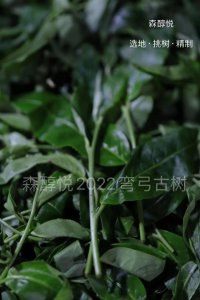 茶叶杀青什么意思 制茶过程中杀青工序作用及目的