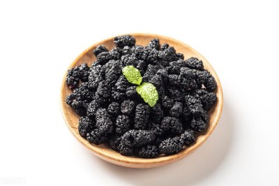 桑葚产地主要在哪里 全国哪个地方产的桑葚最好吃