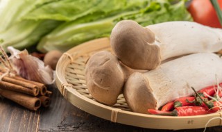 杏鲍菇产地 杏鲍菇主要产地介绍