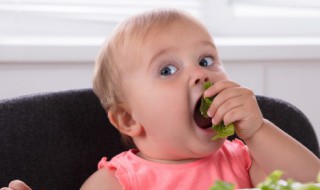 牛哪个部位适合宝宝 牛什么位置的肉更加适合宝宝吃