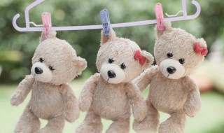 玩偶可以放在客厅吗 在客厅放玩偶有什么讲究