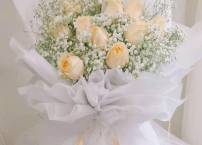 香槟色玫瑰的花语是什么意思 不同枝数代表含义 全