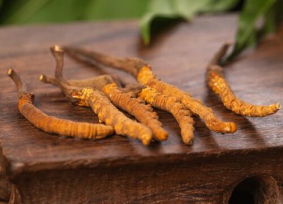 冬虫夏草有什么作用和功效 吃了有什么效果