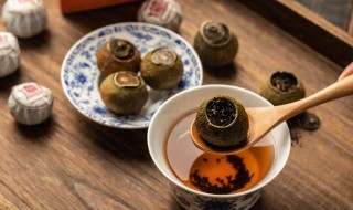 青普茶什么季节喝好 青普茶啥季节喝好