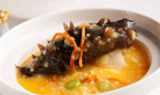 泡发后的海参怎么保存 泡发后的海参如何保存更好