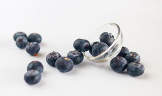 冰冻蓝莓解冻要多久 冰冻蓝莓解冻的时间