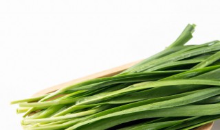 如何挑选韭菜 怎样挑选韭菜