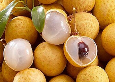 广东龙眼成熟时间 广东龙眼什么时候成熟