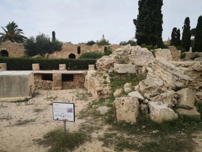 迦太基现在是哪个国家 北非古国迦太基是个什么国家