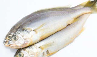 家庭糟鱼的做法 家庭糟鱼怎么做