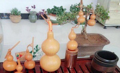 葫芦挂在家里什么位置好 风水学葫芦摆放哪里招财辟邪
